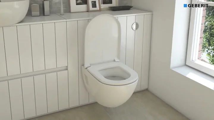 Learn How to Install Geberit Remote Flush Type 10