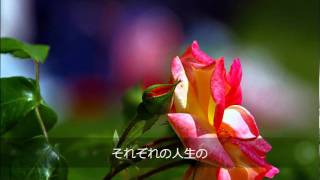 薔薇物語 Rose Story.wmv