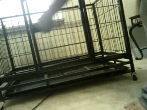 36"-heavy-duty-dog-crate-$145.00