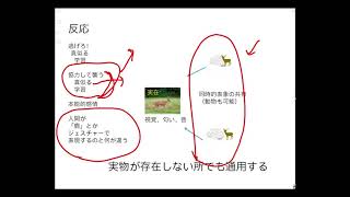 言語の条件