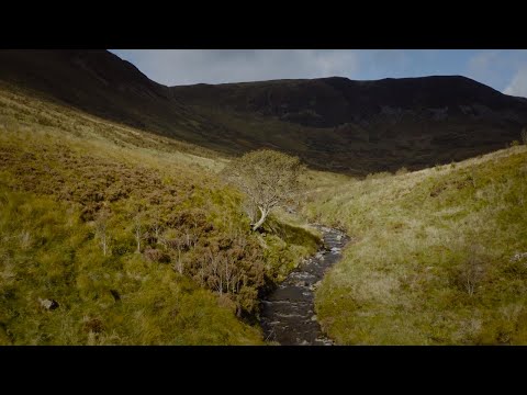 वीडियो: स्कॉटिश कपड़ों के ब्रांड एंडुरा का लक्ष्य अगले दशक के लिए एक वर्ष में एक मिलियन पेड़ लगाने का है