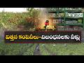 విత్తన కంపెనీలు - నిబంధనలకు తూట్లు | బిల్లులు లేకుండా విత్తనాల అమ్మకాలు || ETV Ground Report