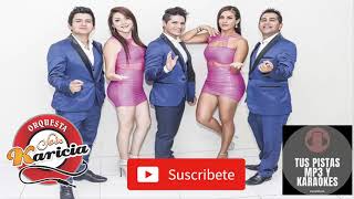 Video thumbnail of "POR CULPA DE MI ORGULLO AMAYA HERMANOS PISTA MUSICAL"