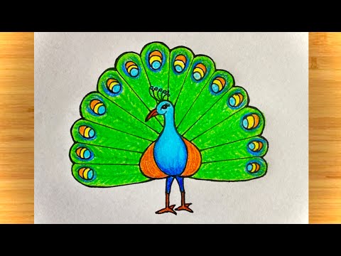 Peacock drawing easy