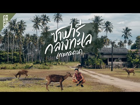 เกาะกวาง เกาะขายหัวเราะ รวมอยู่ที่เกาะกระดาด ตราด | VLOG | Gowentgo