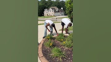 PAY BILLS OR PULL WEEDS| WHICH WOULD YOU RATHER DO?| CLEAN & ORGANIZE #short #shorts #shortvideo