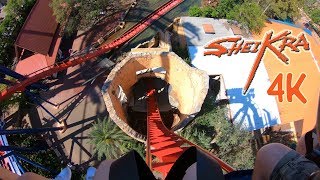 SheiKra POV in 4K (Busch Gardens Tampa Bay)