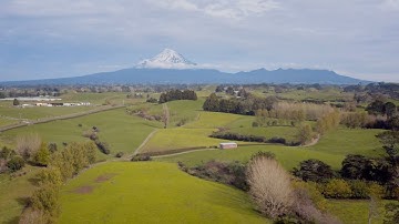 Dairy cow heat detection with CowTRAQ™ Collars | Waikato Milking Systems