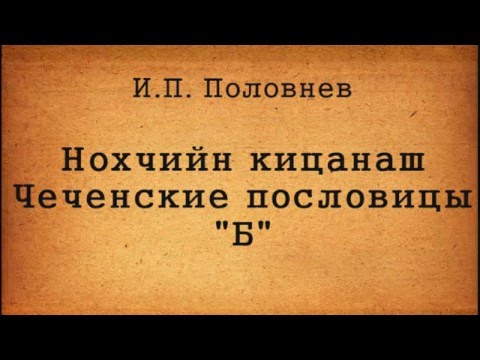 Нохчийн кицанаш картинки