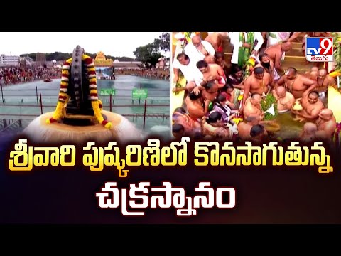 Tirumala : శ్రీవారి పుష్కరిణిలో కొనసాగుతున్న చక్రస్నానం | TTD -TV9 - TV9