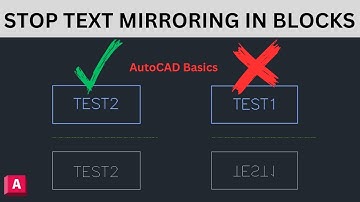 How to STOP Text Mirroring in Blocks