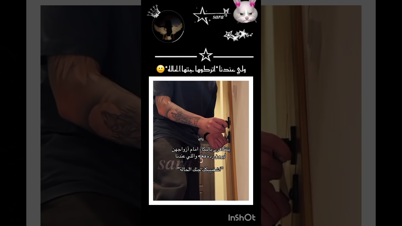 #cat #lifeisbutadream #اكسبلور #haveitoldyoulatelythatiloveyou #angel #dothingsyoudontwanttodo