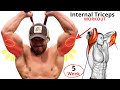 Ultimate Internal Triceps Blast to Get Huge Arms - تمرينات الترايسبس الداخلية القوية 6