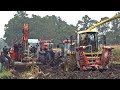 Harvesting mais in the mud ● New Holland FX ● Modderen ● Vastzitten ● Sundermeijer.