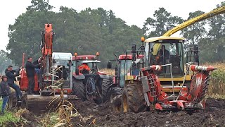 Harvesting Mais In The Mud | New Holland FX | Modderen | Vastzitten | Sundermeijer
