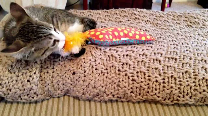 Baby Lou nursing his blanket