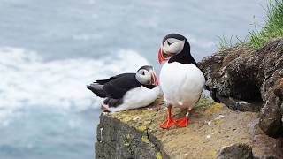 Iceland Ring Road Trip’s top 5 attractions