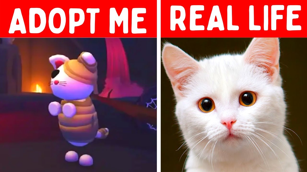 ADOPT ME HALLOWEEN PETS IN REAL LIFE! *GHOST DRAGON* | PicnicPlayers