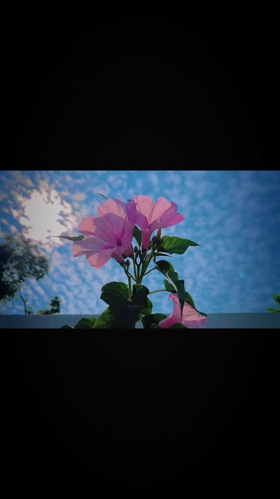 Tera Mera Jahan Le Chalu Main Wahan❤️‍🩹🥀 || Slowed And Reverb #trending #sad #song