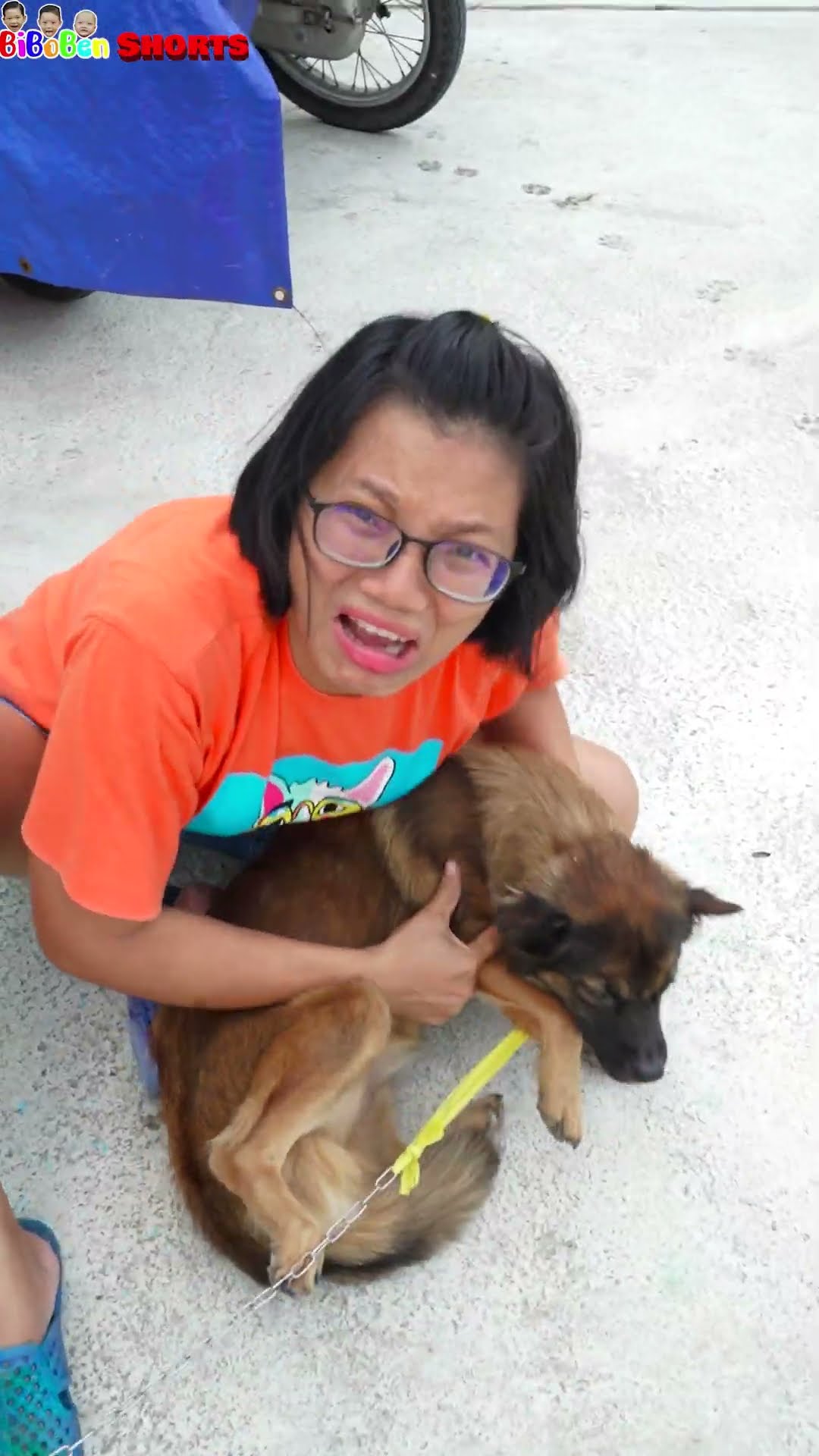 BiBoBen Shorts | ?rescue puppies ??giải cứu chú chó ?