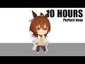 Agnes Tachyon LOW CORTISOL DANCE Perfect Loop 10 Hours Umamusume