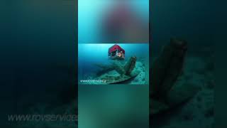 hms trooper lost in 1943 now found by planet blue | WWII submarine disappeared now found near Greece