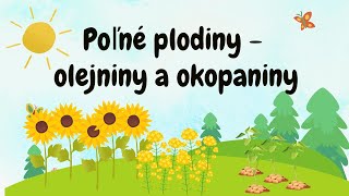Poľné plodiny - olejniny a okopaniny
