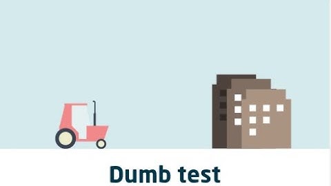 taking the dumb test in geoguessr