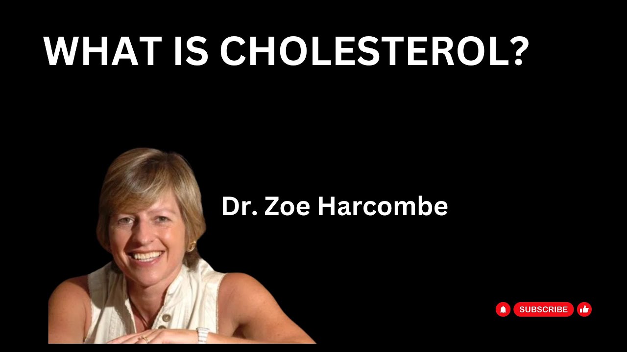The cholesterol myth destroyed in under 3 minutes. Dr. Zoe