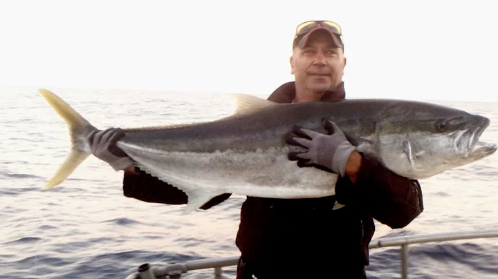 Another "EPIC" White Island trip aboard Pursuit wi...