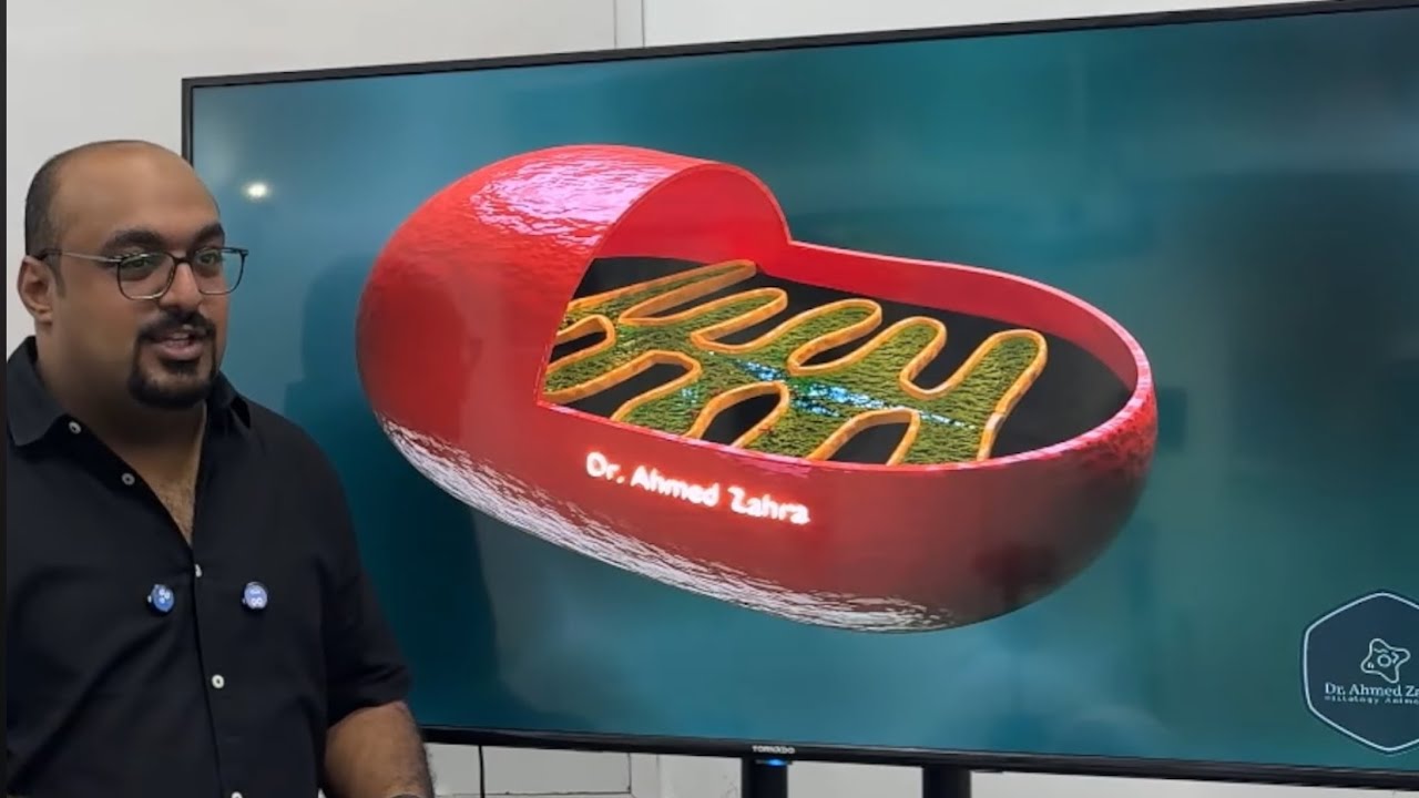 المحاضرة الاولى Histology Dr.Zahra (اولى بشري عين شمس ٢٠٢٦)