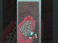 Eicher tractor Seeding in feed #farming #ytshorts #shorts #indianfarmer #tractor #eicher_tractor