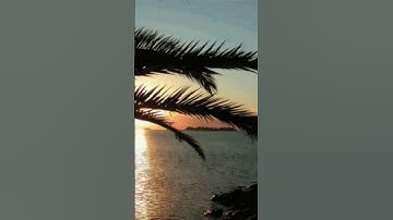 سورة المؤمنون 97-98