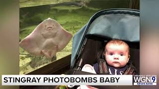 WGN News Now - August 19th, 2021 at 3pm