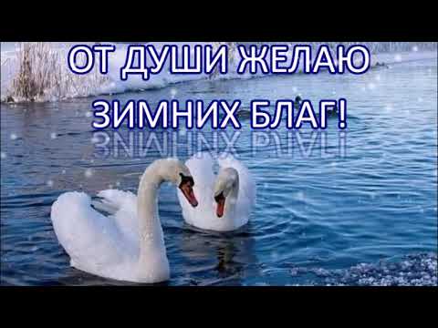 С ПОСЛЕДНИМ ДНЁМ ОСЕНИ! ПРОЩАЙ, ОСЕНЬ! ЗДРАВСТВУЙ, ЗИМУШКА! МУЗЫКАЛЬНАЯ ВИДЕО ОТКРЫТКА