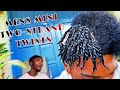 EASY MENS TWO STRAND TWIST  on SHORT HAIR