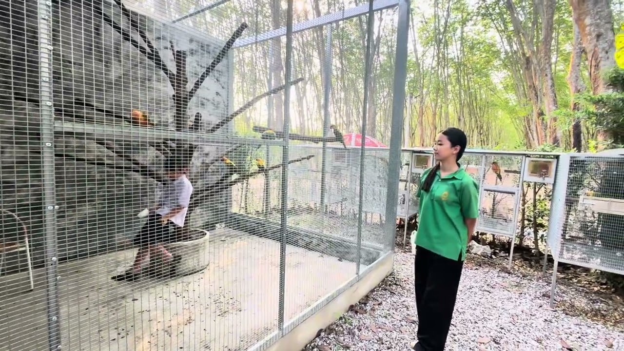 ชุมชนของฉัน(My Sweety Community)