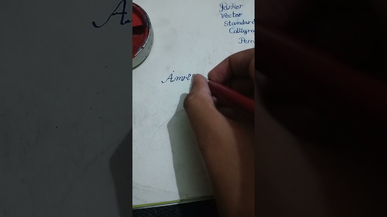 Parker Vector calligraphy