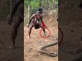 Animals Doing Things Nobody Expected