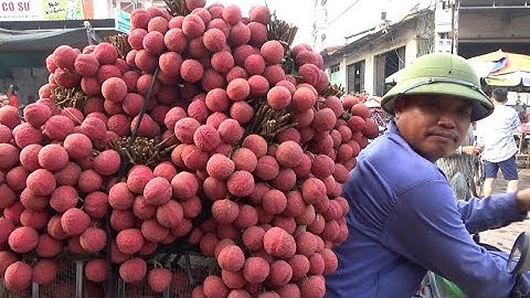 vải thiều lục ngạn giá vải Thanh Hà Vải Muộn mới nhất ngày 02/7/2022 tại ngã Ba Đồng Cốc lục ngạn