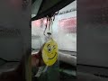 Ultimate Satisfying Carwash 2025 | Deep Clean &amp; Shine for Your Car Bitola, Macedonia