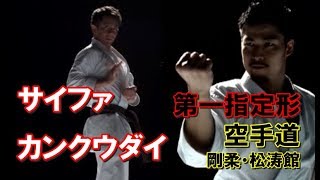 第一指定形 サイファ カンクウダイ観空大 剛柔・松涛館編 空手道形教範 karatedo kata JKF JKA