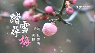 四重唱《 踏雪尋梅 》詞: 劉雪庵 曲 :黃自 ( 1935 年 創作 )♥ ♪♫*•
