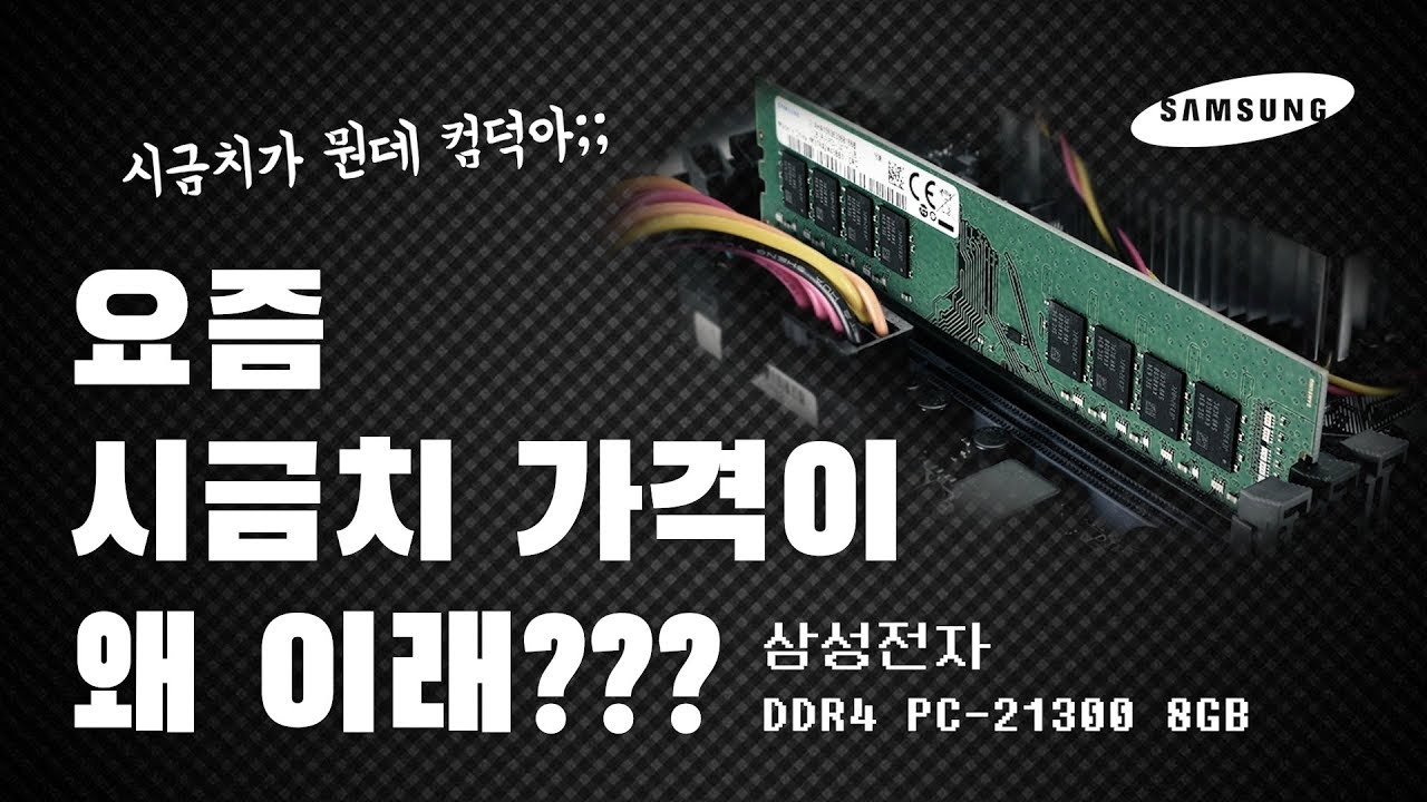 요즘 시금치 시세가 왜이래? (feat.삼성전자 DDR4 PC-21300 8GB) [다나와가격동향]