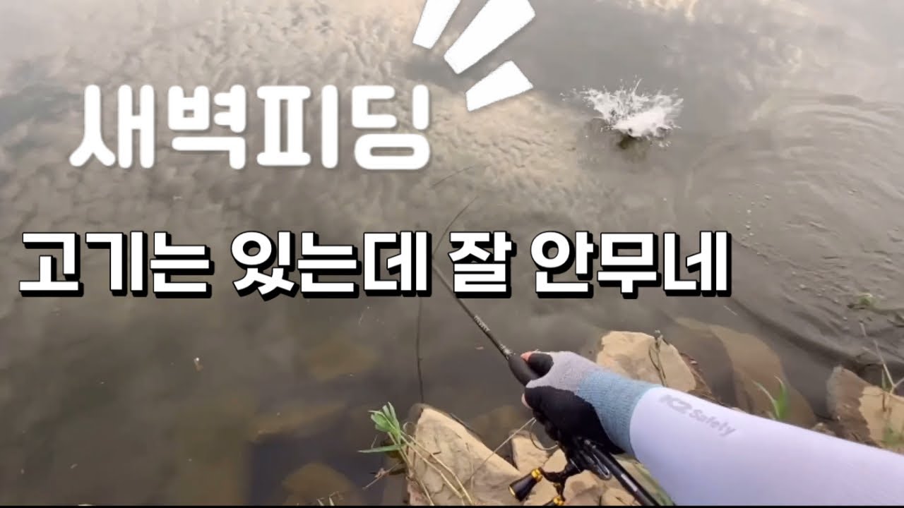 20240918 오전낚시