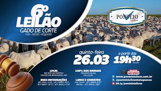 06°LEILÃO DE GADO DE CORTE -  26/03/26