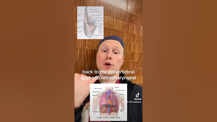 Infection Spaces of the Face - Residency Day 886 | #oralsurgery #oralsurgeon #doctorgallagher