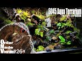 アカメカブトトカゲのために豪華な飼育環境を構築してみた ~OrderMadeVivarium#26~