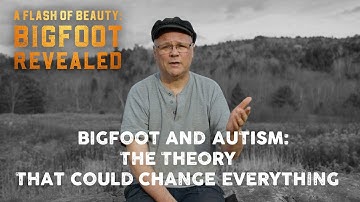 A Flash of Beauty: Christopher Noël