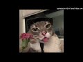 [FREE] goofy gorillaglue ian type beat